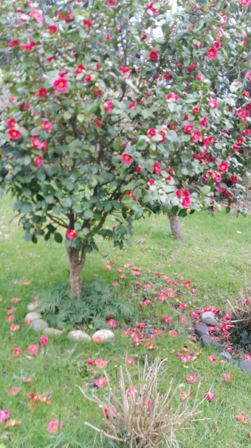 B&B El Jardin De Aes プエンテ・ビエスゴ エクステリア 写真