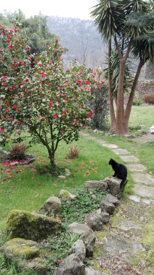 B&B El Jardin De Aes プエンテ・ビエスゴ エクステリア 写真